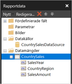 Skärmbild av datauppsättningarna i fönstret Rapportdata.