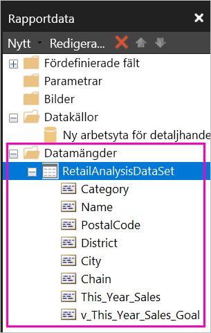 Skärmbild av fälten som visas under datamängden i fönstret Rapportdata.