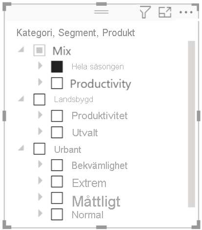 Hierarki utsnitt i Power BI Desktop för Power BI-rapportserver.