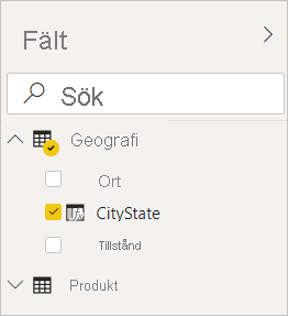 Screenshot of Power BI Desktop showing CityState checked in the Geography filter in the Fields view.