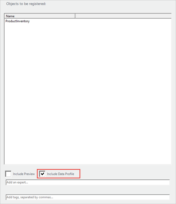 Rutan Inkludera dataprofil är markerad längst ned i fönstret Objekt som ska registreras.