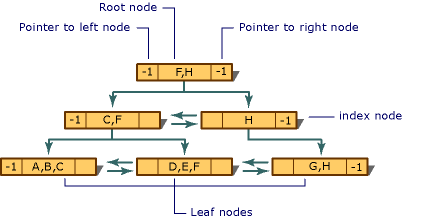 FoxPro Nodes