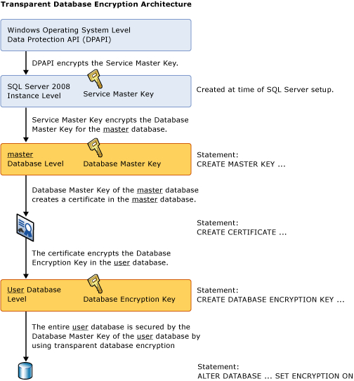 Displays the hierarchy described in the topic.