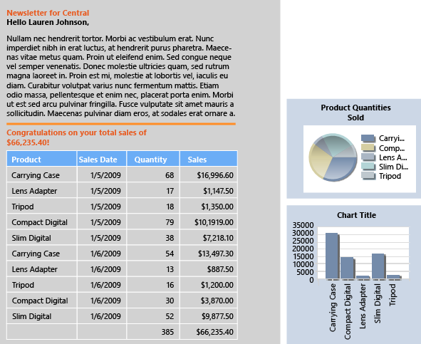 Final report