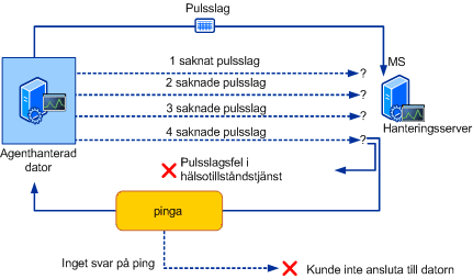 Bild över pulsslagsprocessen