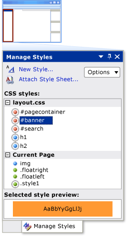 Manage Styles window