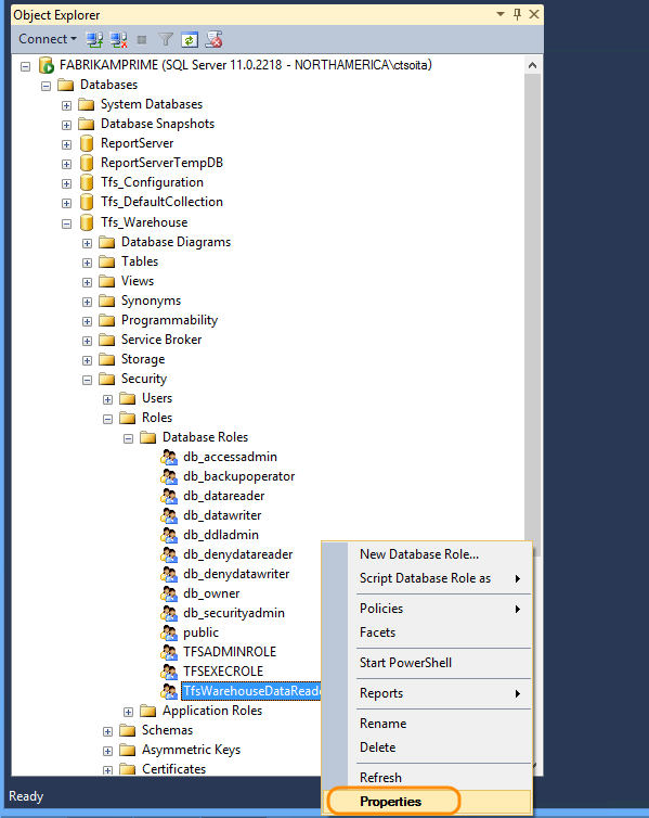 Open Tfs_Warehouse data reader role properties