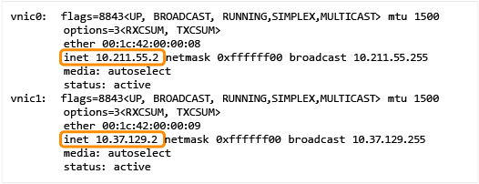 ifconfig command in the Terminal App