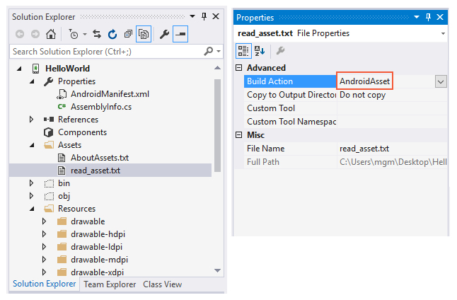 Setting the build action to AndroidAsset
