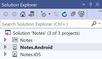 Visual Studio Solution Explorer