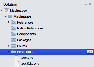 The new image files added to the Solution Pad