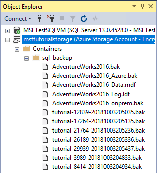 En skärmbild från Object Explorer i SSMS med flera ögonblicksbilder i Azure Container.