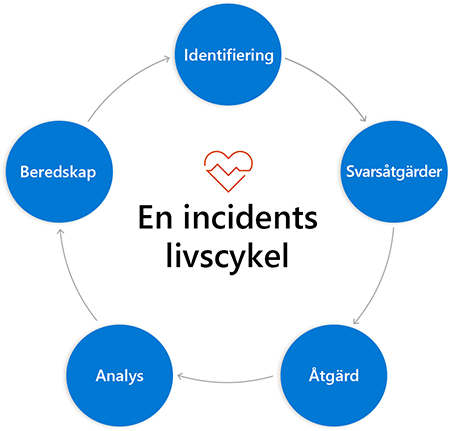 Cykeldiagram med cirklar som märkts med faser, en cirkel ansluts till nästa cirkel med en pil mellan olika faser