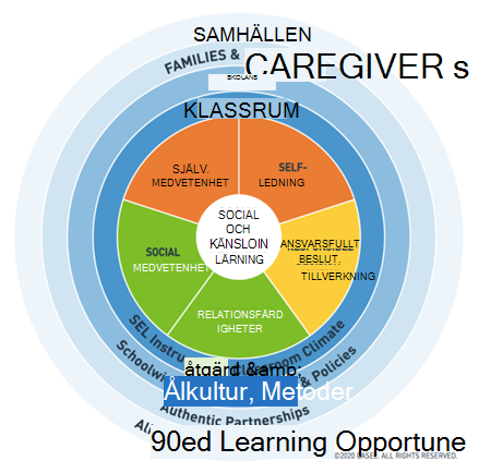 Illustration of the CASEL SEL core competencies: self-management, self-awareness, social awareness, relationship skills, responsible decision making.