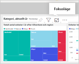 Skärmbild av panelens Power BI fokusläge.