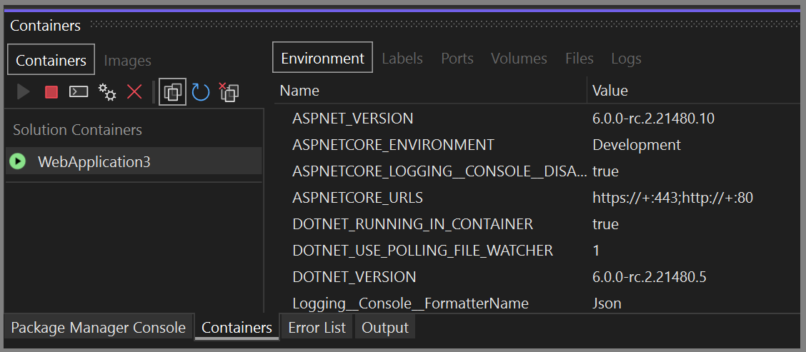 Screenshot of the Containers window in Visual Studio showing the Environment variables for a container.