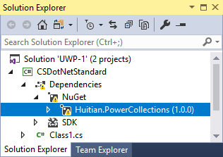 Skärmbild av NuGet-paketet i Solution Explorer.