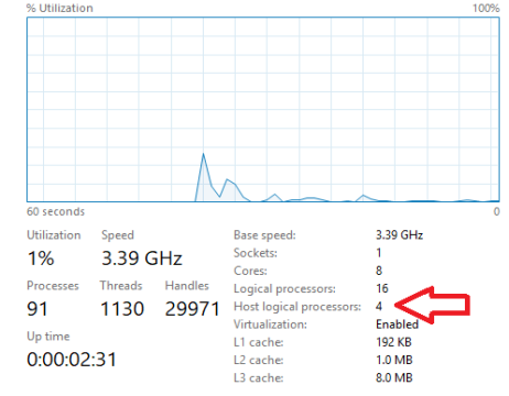 Host's minroot configuration shown in Task Manager