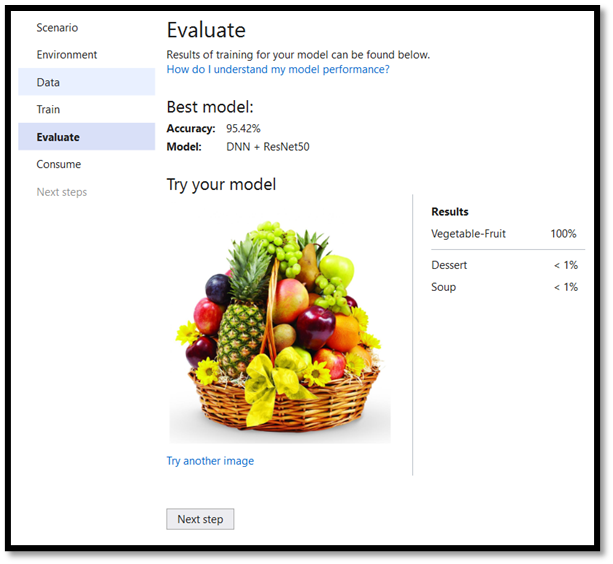 Model evaluation results