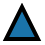 triangle-thick icon