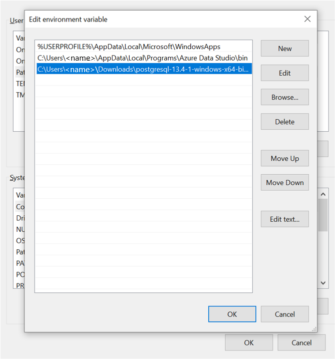 Screenshot showing the environment variables that you need to set.