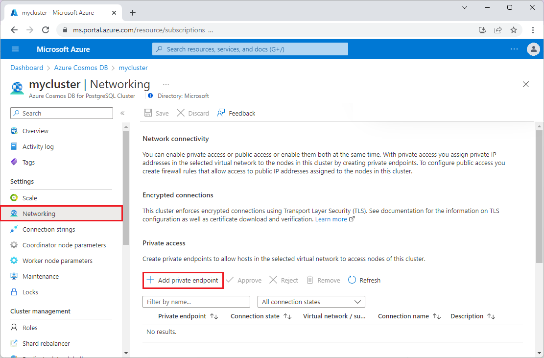 Screenshot of selecting Add private endpoint on the Networking screen.