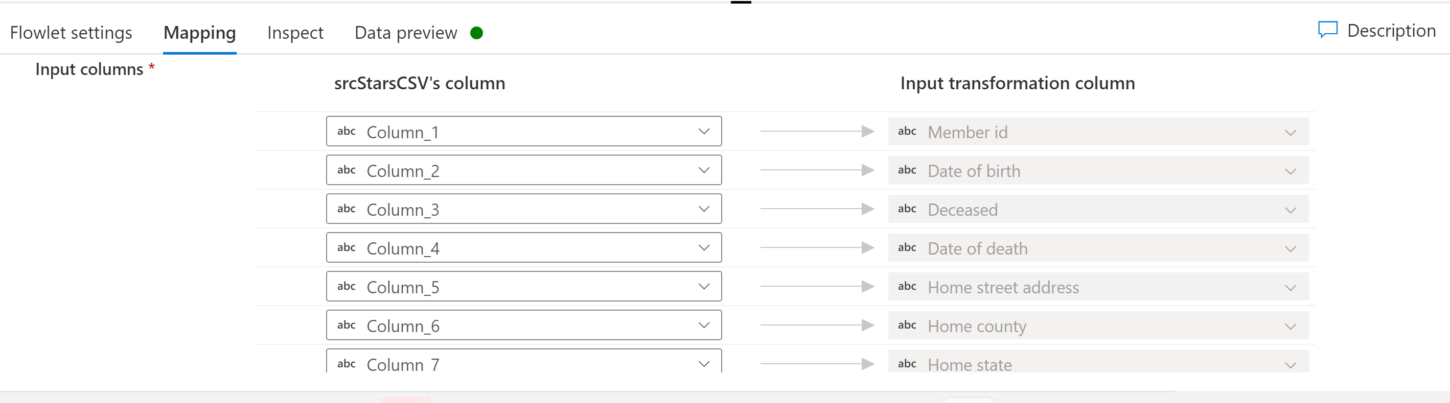 Screenshot showing mapping columns to the flowlet input.