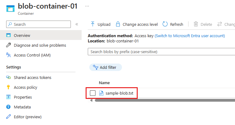 Azure portal page for the blob container, showing the uploaded file