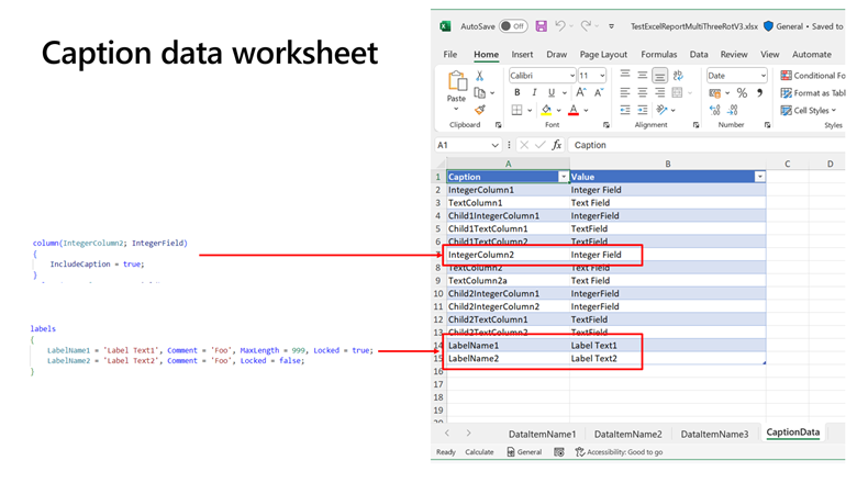 Picture showing how report field captions and labels look in the captions worksheet