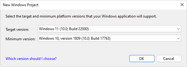 The 'New Windows project' dialog