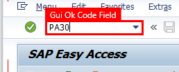 ภาพหน้าจอของหน้าต่าง SAP Easy Access ที่มีการป้อน PA30 ในฟิลด์รหัสธุรกรรม และฟิลด์ที่เลือก