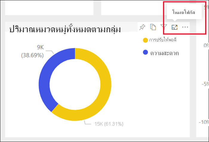 สกรีนช็อตของวิชวลรายงานที่มีไอคอนโหมดโฟกัสที่เลือกไว้