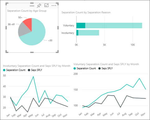 Screenshot shows Employee separations over 50 by selecting a slice.