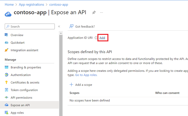 สกรีนช็อตของหน้าเปิด API พร้อมตัวเลือกในการเพิ่ม URI ID แอปพลิเคชัน