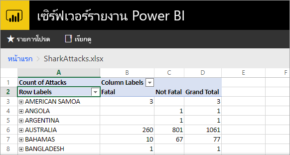 Excel reports viewed from the report server web portal