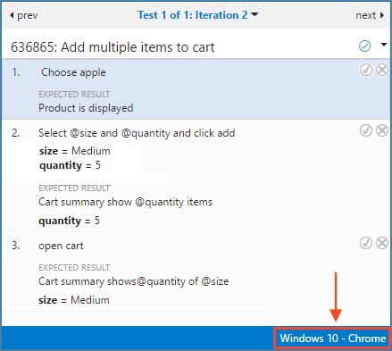 Screenshot shows Test Runner and the first row of parameter values.