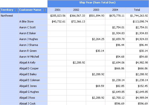 A matrix report with data.