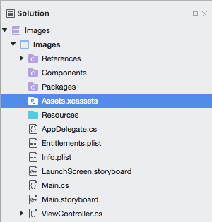 The Assets.xcassets in the Solution Explorer