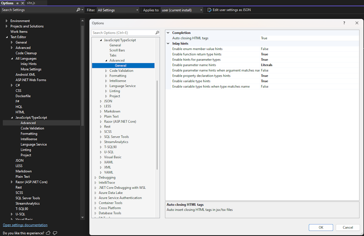 Inlay Hints global TypeScript setting