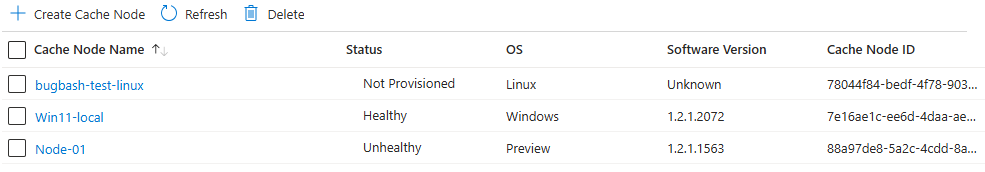 Screenshot of cache node details in the Azure portal interface.