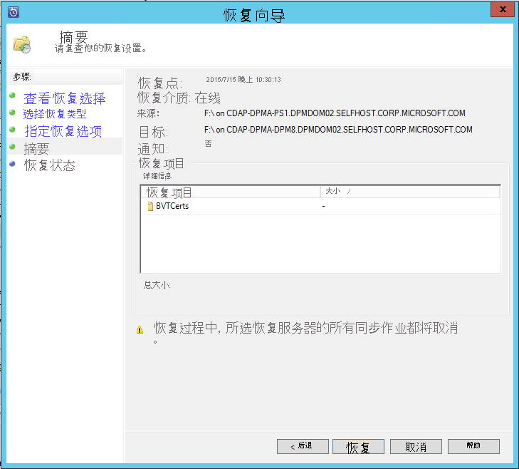 屏幕截图显示如何查看外部 DPM 恢复选项摘要。