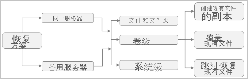 显示 MARS 恢复方案的示意图。