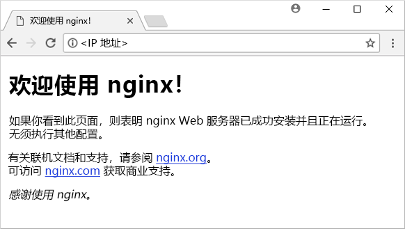 NGINX 网站现在正确加载