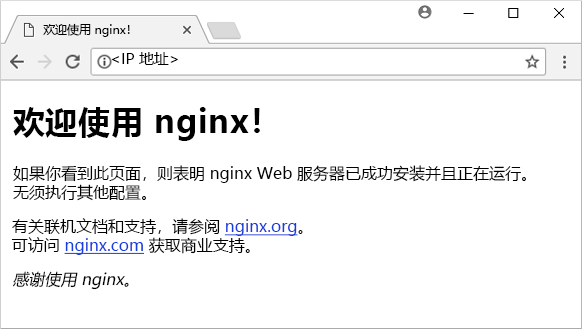 默认的 NGINX 网页