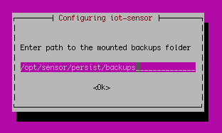 Enter path to the mounted backups folder 提示的屏幕截图。