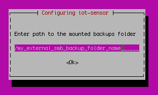 具有更新值的 Enter path to the mounted backups folder 的屏幕截图。