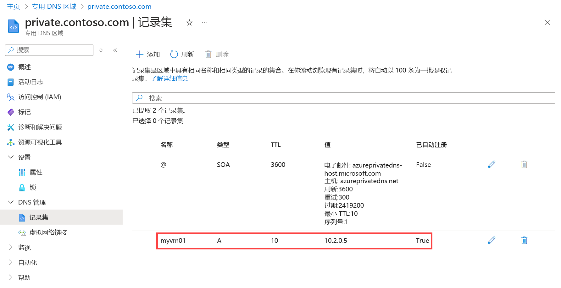 自动注册的 DNS 记录的屏幕截图。