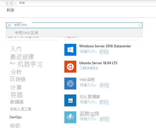 显示在 Azure 门户的新建资源页上搜索专用 DNS 区域的屏幕截图。