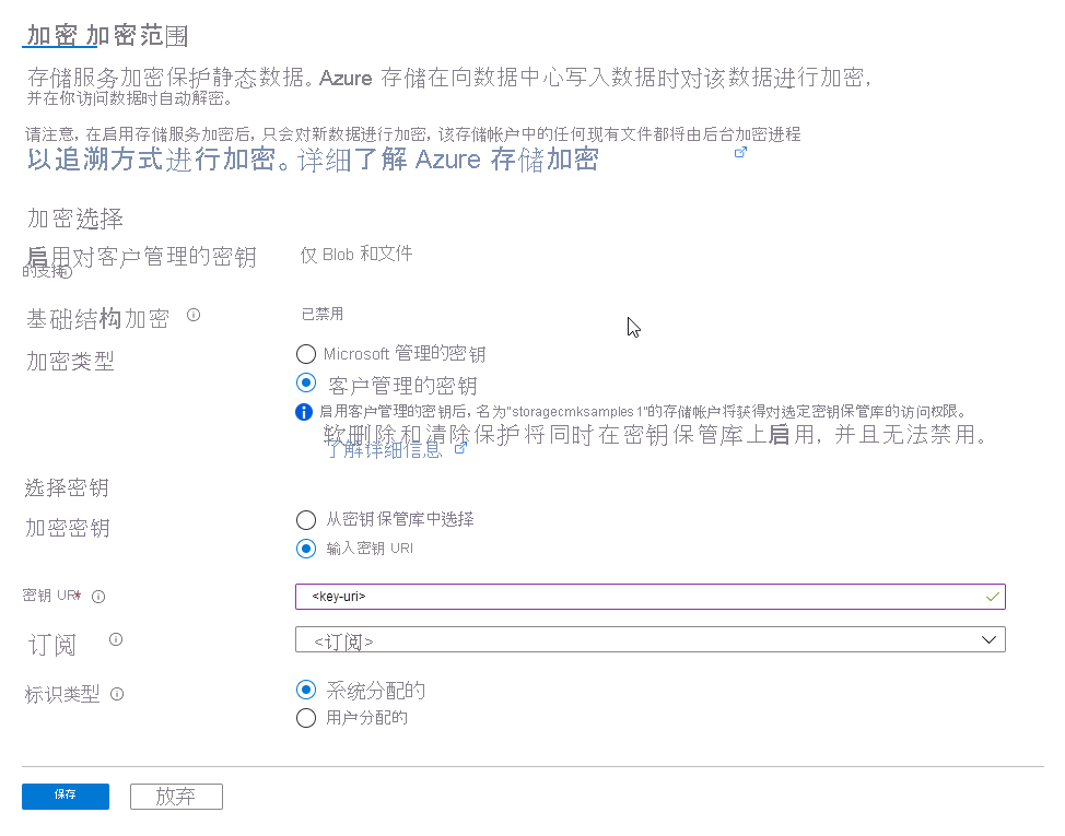 显示如何在 Azure 门户中输入密钥 URI 的屏幕截图。