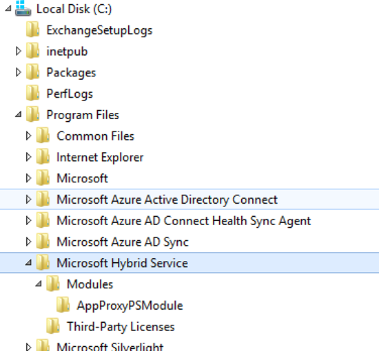 Microsoft混合服务在硬盘驱动器上的位置。